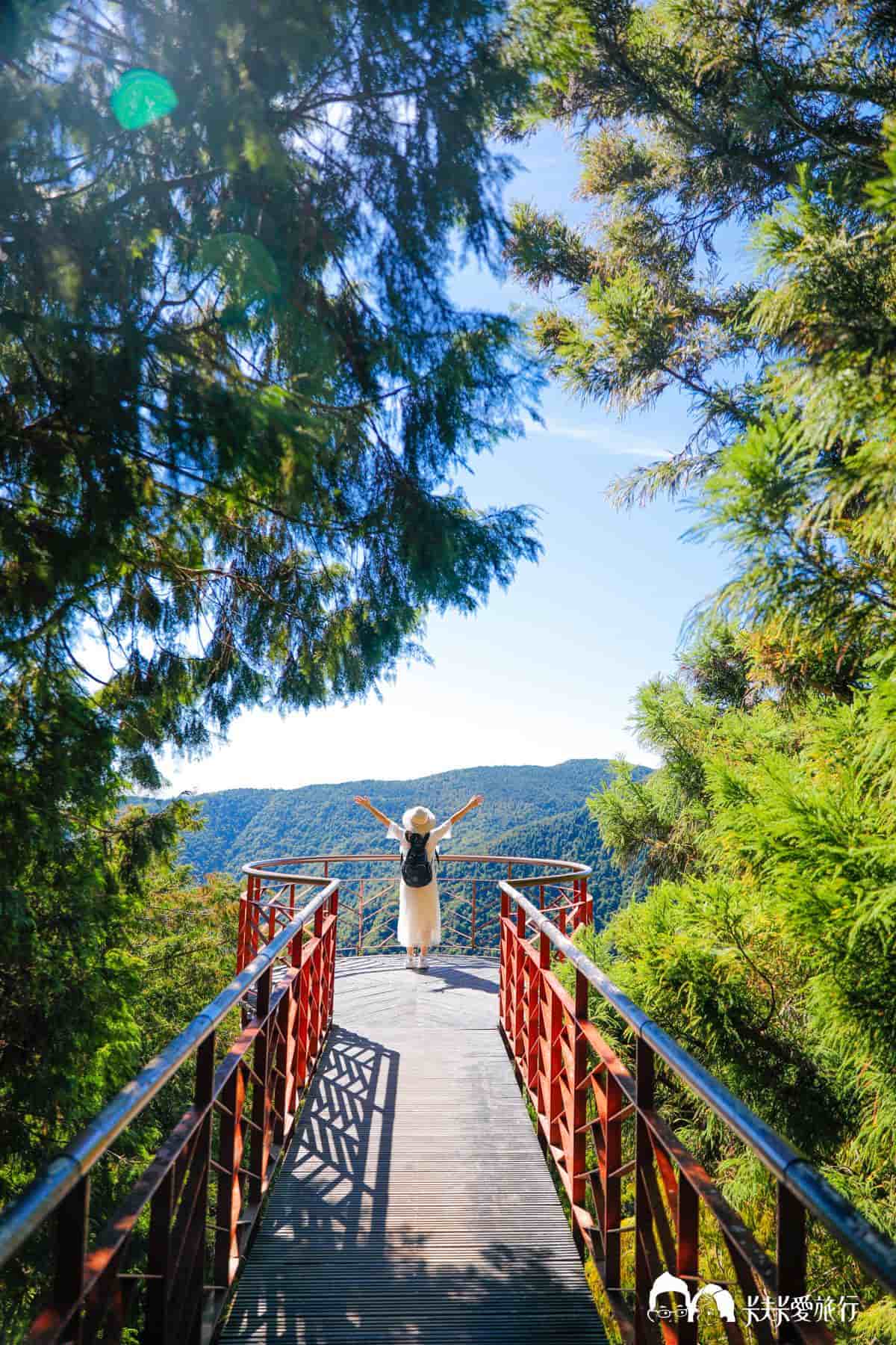 大自然避暑１日遊！宜蘭太平山８景點：森林蹦蹦車、CNN最美步道、楓紅階梯
