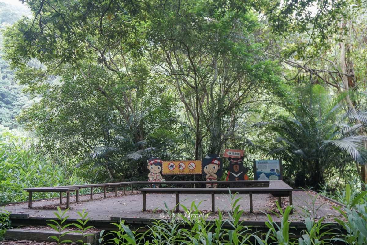 避暑祕境快收藏！苗栗６條免門票「私房步道」：羽量級小百岳、美國大峽谷