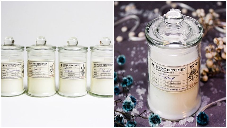 賽先生科學工廠by瑪黑家居,NT399(全系列共四款香味牡丹、 檀香、藍鈴、薰衣草)