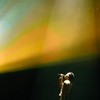 🇹🇭タイ音楽🌶ロック🧑🏻‍🦲ポップス🛺タイ語不要🐘新しい世界を覗いてみよう🎸🥁🎹🎤🕶♪