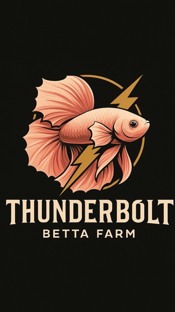 TDB Betta Farm⚡️