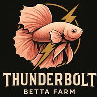 TDB Betta Farm⚡️