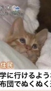 雑談・歌