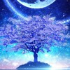 全伽羅なりきり～