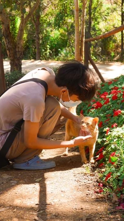 ฐานทัพลับของน๊องแม๊ว