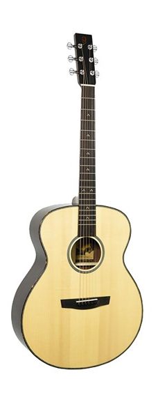 【金聲樂器】Lee Guitar S30 慎始 李吉他【歡迎來店試彈】