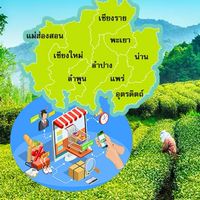 ซื้อขายออนไลน์ภาคเหนือ ที่พัก ของกิน แฟชั่น เครื่องสำอางราคาส่ง