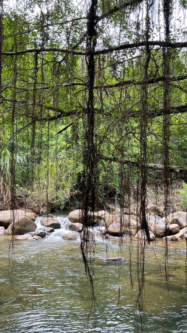 🌿🌿สายชิว🌿🌿