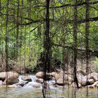 🌿🌿สายชิว🌿🌿