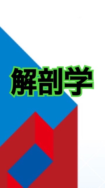 鍼灸学生/解剖学/覚えよう📙鍼灸学生以外の方もOKです😄