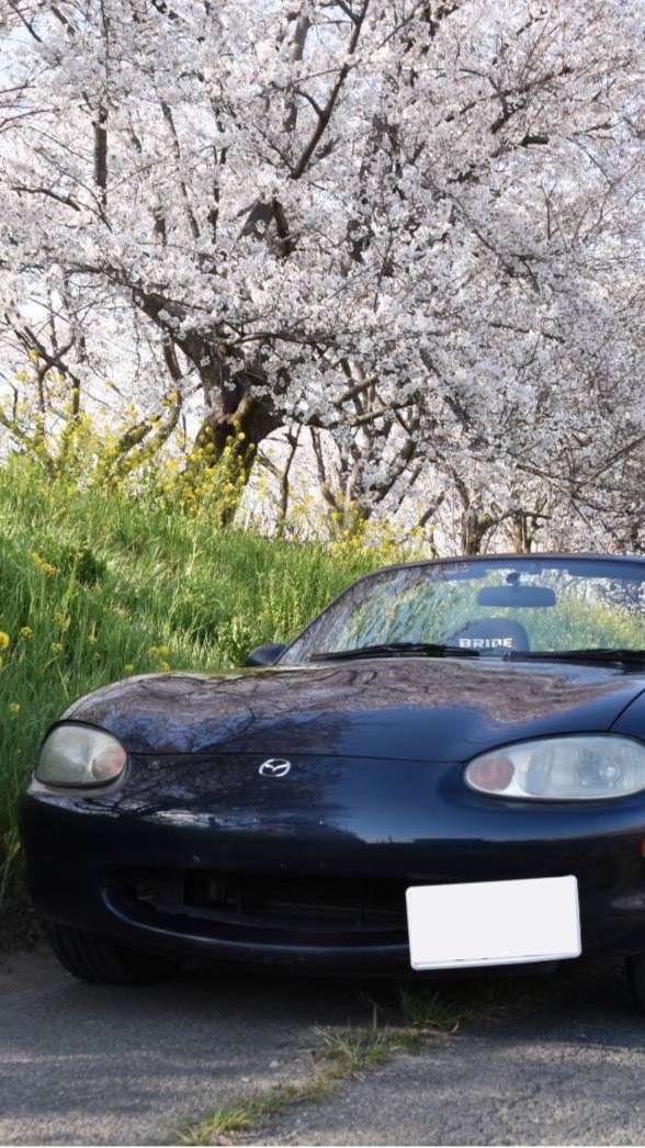 OpenChat 都立大自動車部新歓グループ