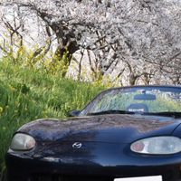 都立大自動車部2026新歓