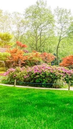 โรงเรียนแห่งสวน~