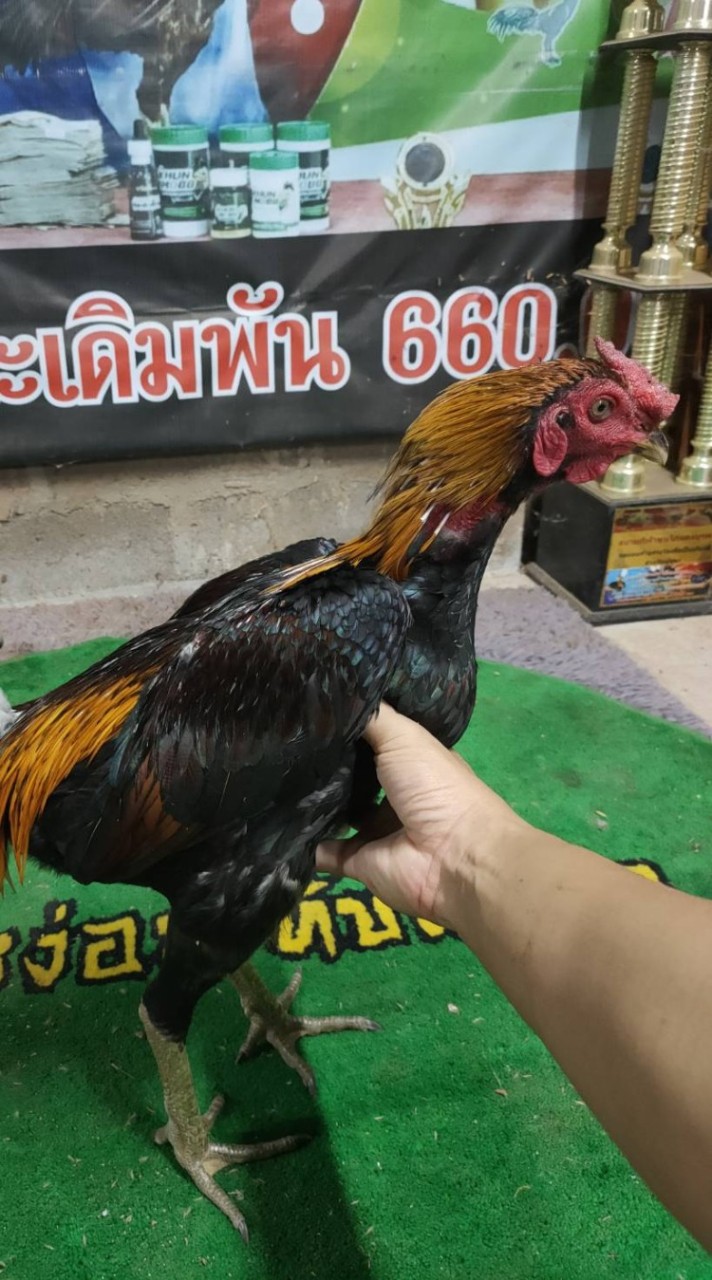 น้องมิรินอุบล
