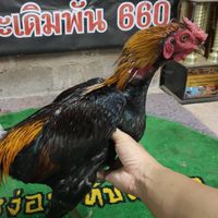 น้องมิรินอุบล