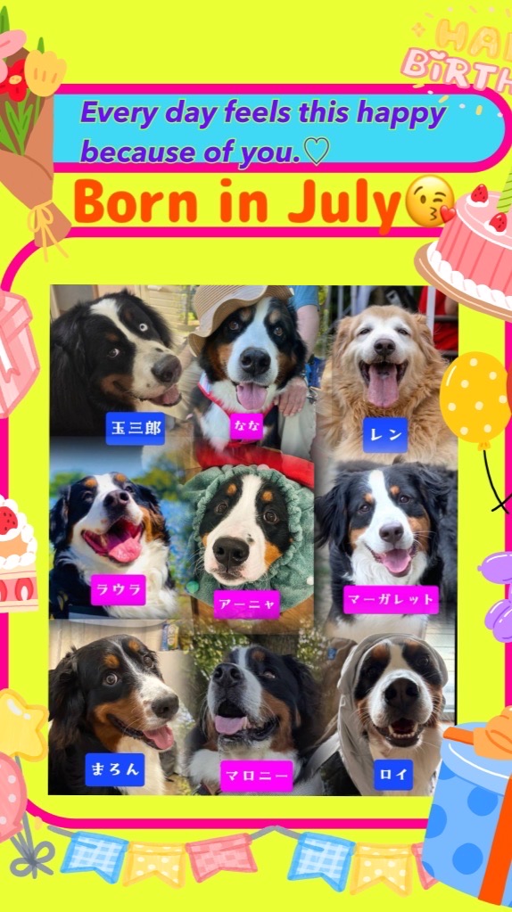 ALL 🐾JAPAN🐾BERNESE🐾CLUB