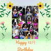 ALL 🐾JAPAN🐾BERNESE🐾CLUB
