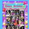 ALL 🐾JAPAN🐾BERNESE🐾CLUB
