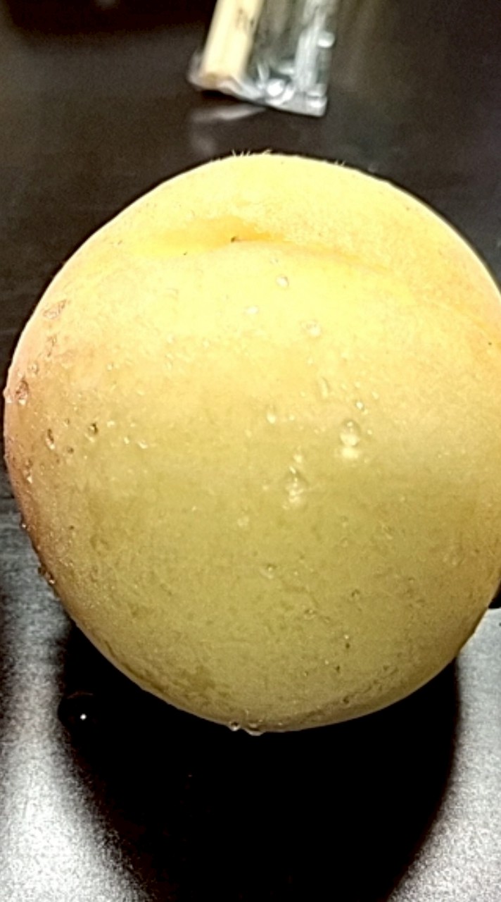 sunny親跑日本代購.歐美生活小物團購##026df7