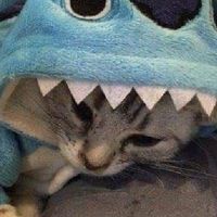 คุยเล่นกับต้าวนัท~~