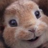 映画オープンチャット