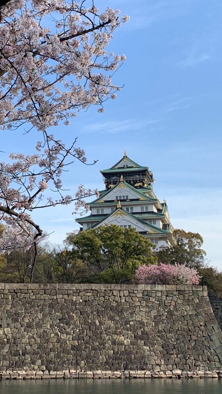 💫大阪💫森ノ宮・玉造・鶴橋・谷四・谷六・谷九・上本町・緑橋・今里周辺の情報&イベント部屋✨