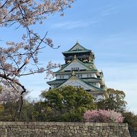 💫大阪💫森ノ宮・玉造・鶴橋・谷四・谷六・谷九・上本町・緑橋・今里周辺の情報&イベント部屋✨