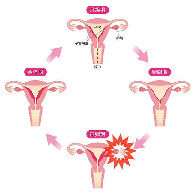 更年期 閉経後の女性が注意すべき病気と体調不良