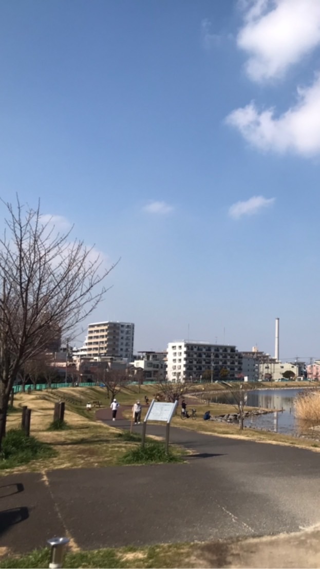 墨田区を走っている人🏃‍♂️🏃‍♀️