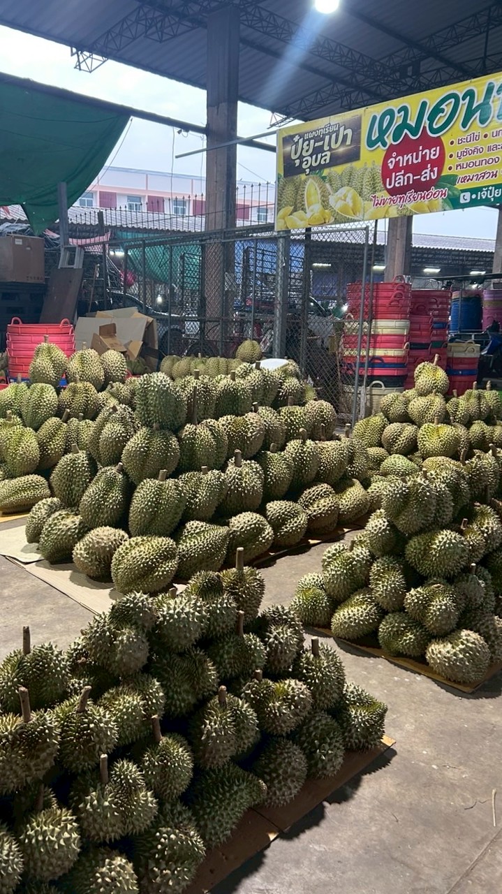 ร้านทุเรียนน้องสมาร์ท