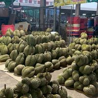 ร้านทุเรียนน้องสมาร์ท
