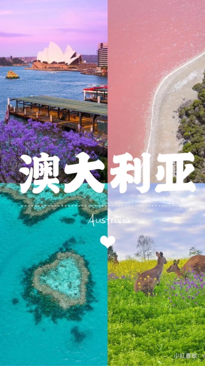 澳洲 人生⬌工作⬌房源⬌日常