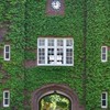 2024年度入学　立教大学　経営学部(経営・国際経営)