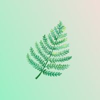 榮星花園健康快樂律動