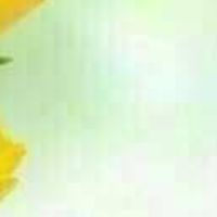 美樂家歡樂聚