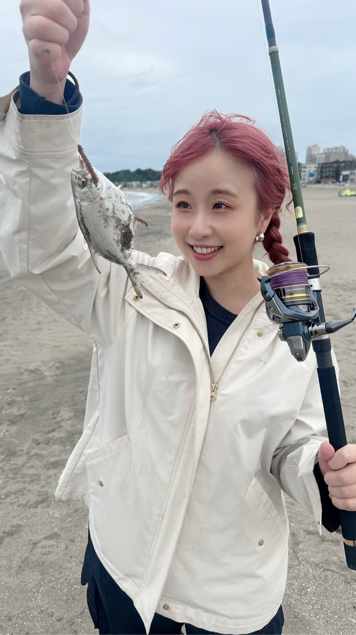 チームのんたん❣️