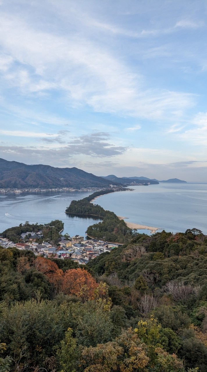 【就活】【26卒】【27卒】【28卒】インターンシップ 大学生/ES/早期選考/情報共有/選考对策