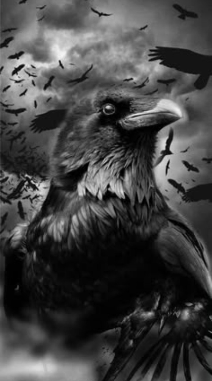 EKA 🦅 งานวิจัย