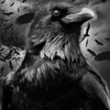 EKA 🦅 งานวิจัย
