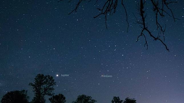 Penampakan Planet Jupiter di langit