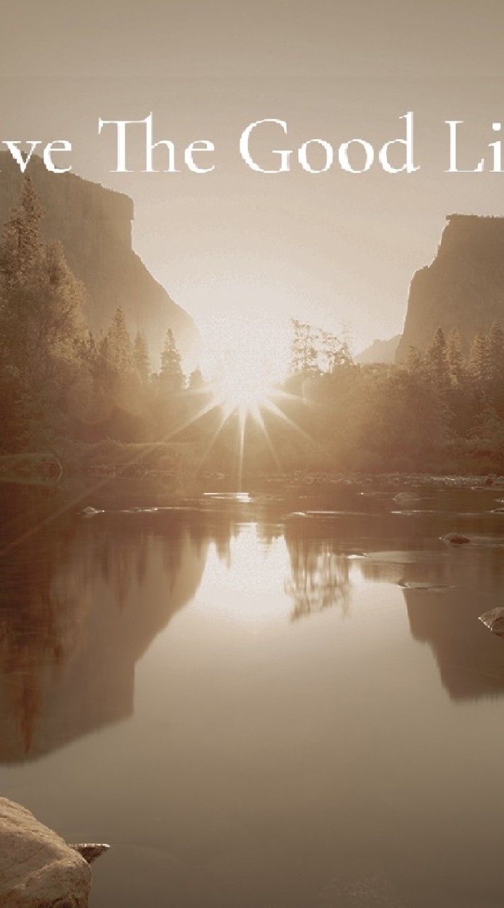 スカイプレミアムGQFXアルファ（愛知、岐阜、三重）東海