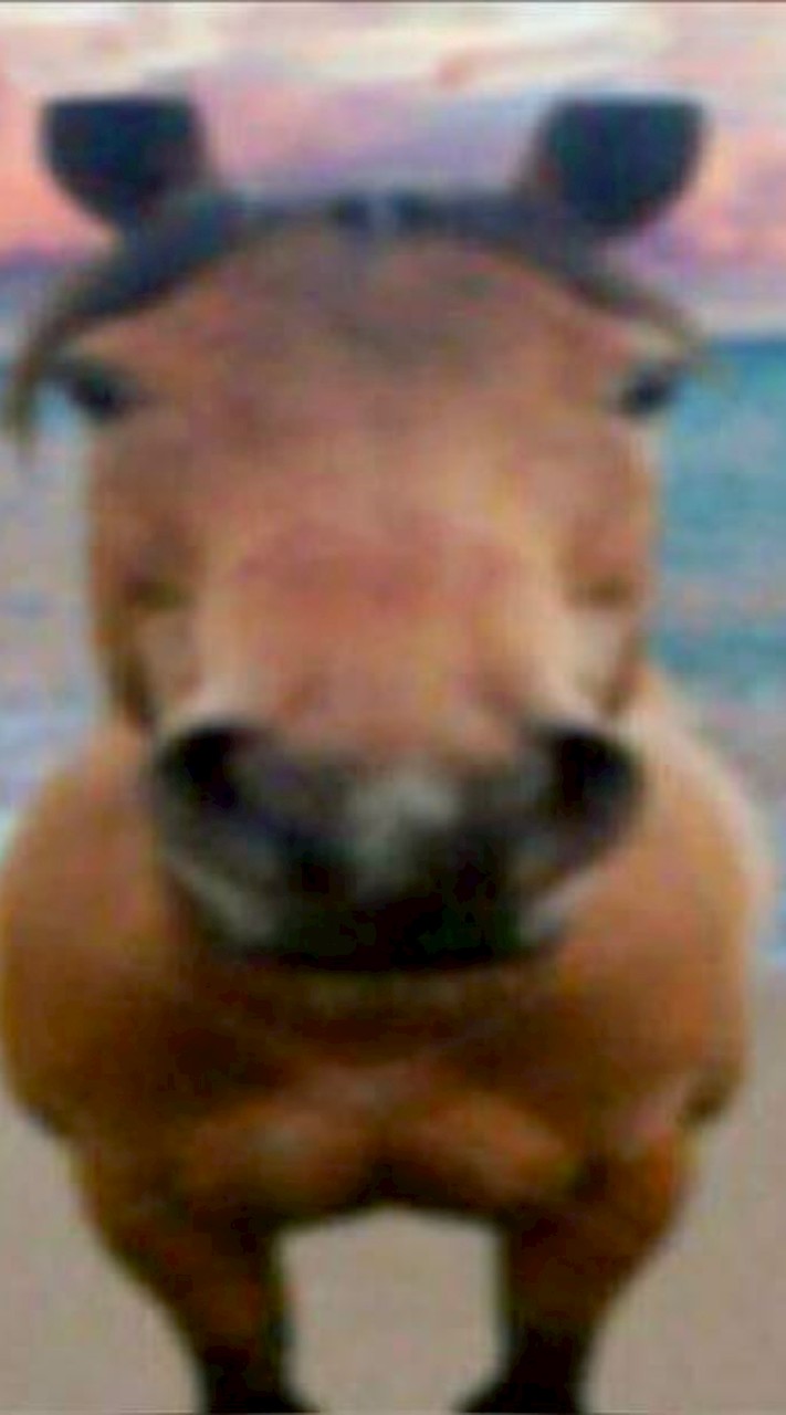 ทำทุกอย่างในนี้