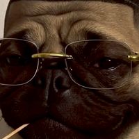 みんな集まろ