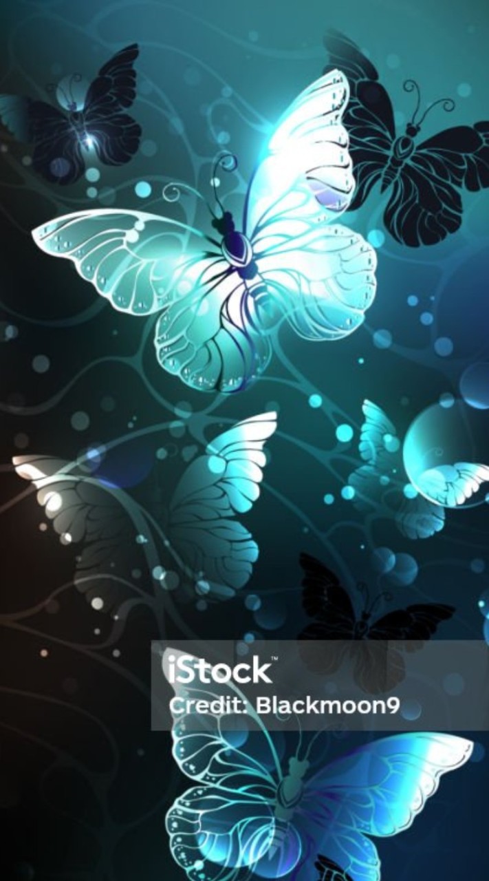 【夜蝶🦋覇月商会】