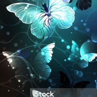 【夜蝶🦋覇月商会】