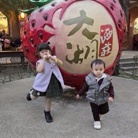 詹前顧後