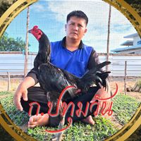 ก.ปทุมวัน ฟาร์ม
