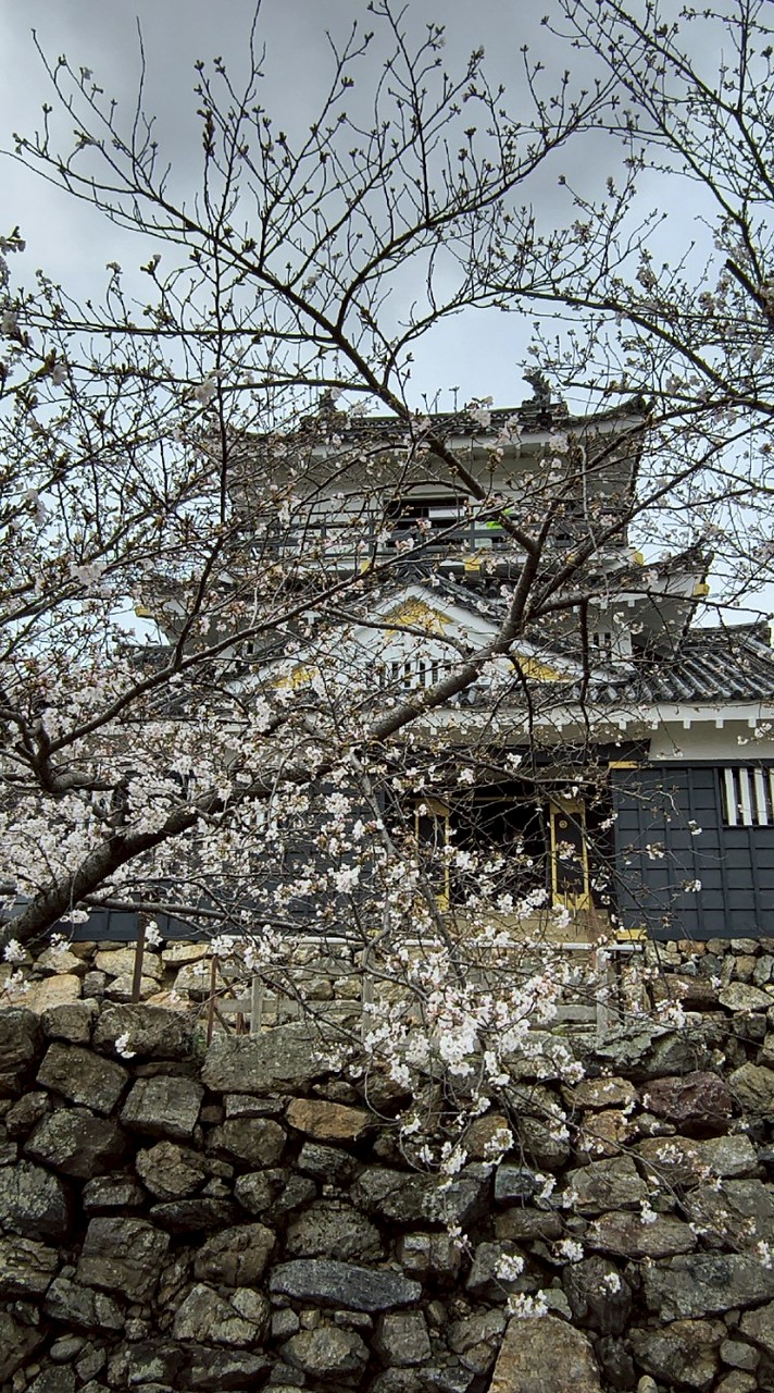 浜松市浜北区