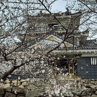 浜松市浜北区