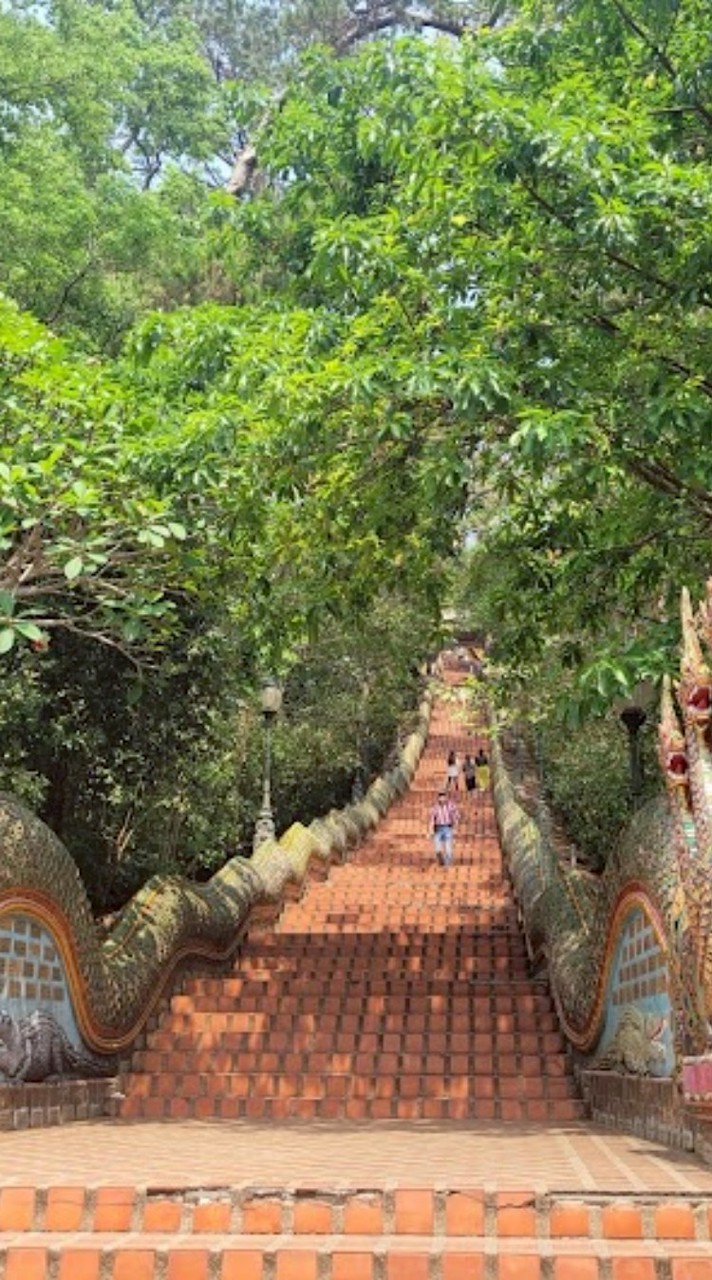 Car Service around Chiang Mai
